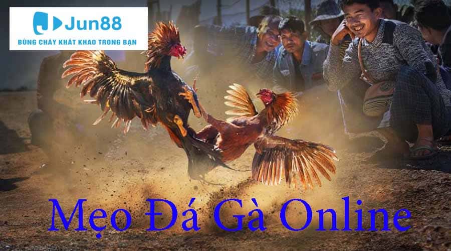 Mẹo Đá Gà Online Bách Thắng - Tổng Hợp Thủ Thuật Bất Bại